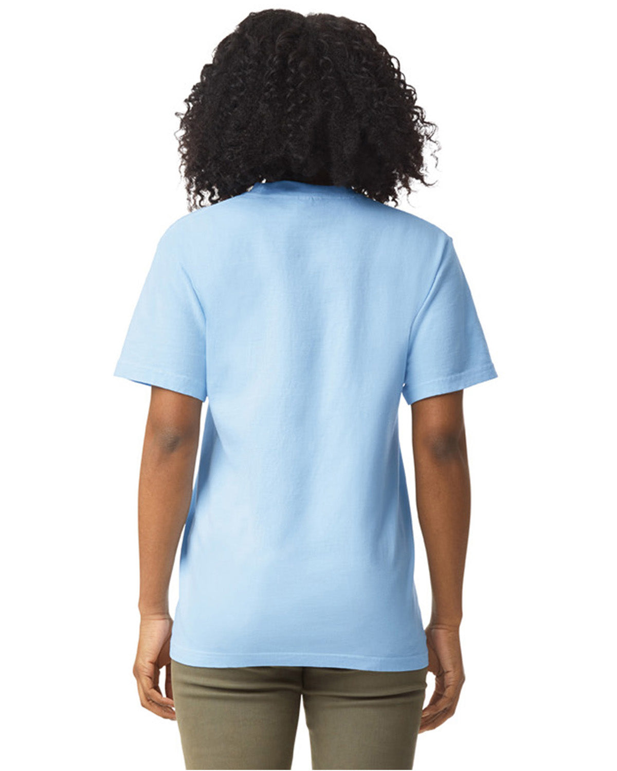 Unisex Heavyweight RS T-Shirt - Hydrangea
