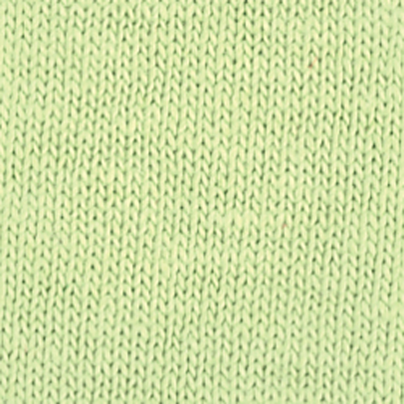 Softstyle Hoodie - Pistachio