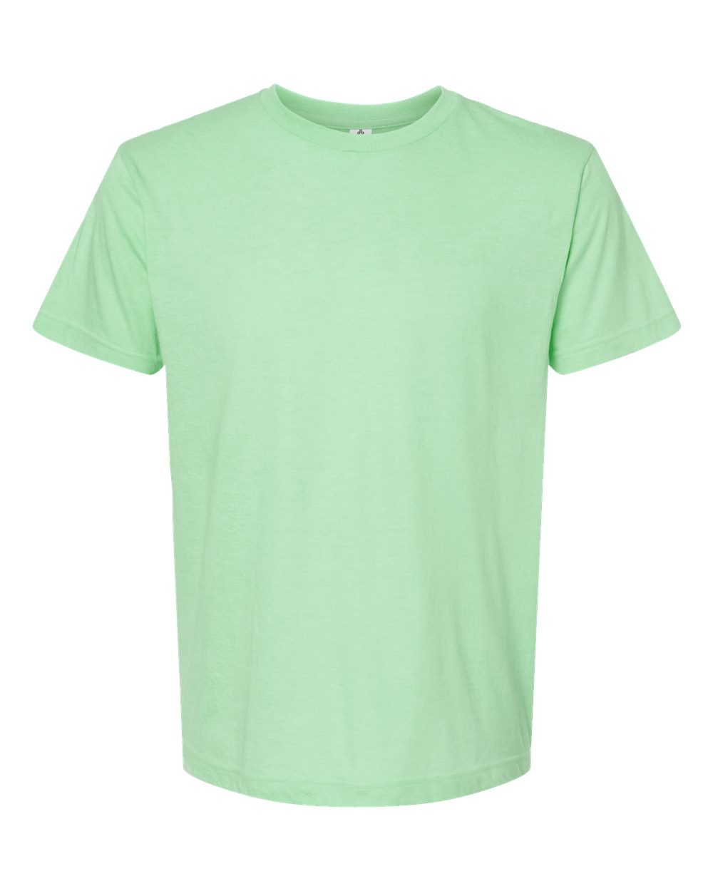Unisex Fine Jersey Tee - Heather Neo Mint