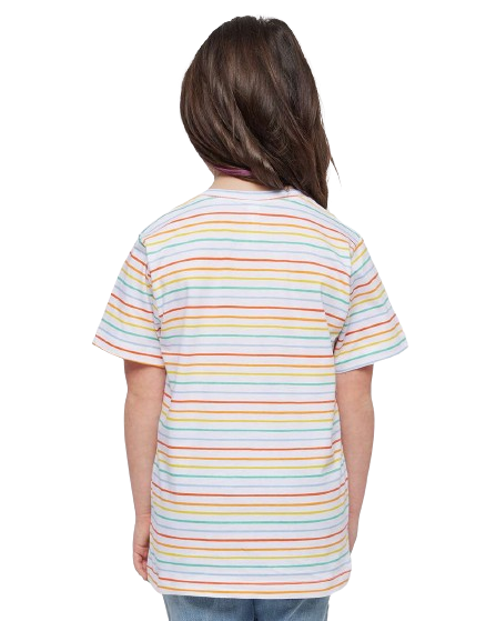 Youth Fine Jersey T-Shirt - Rainbow Stripe