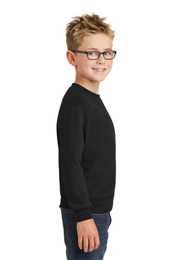 Youth Core Fleece Crewneck Sweatshirt - Jet Black