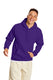 Hanes P170 - Ecosmart® 50/50 Pullover Hoodie - Athletic Purple