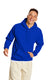 Hanes P170 - Ecosmart® 50/50 Pullover Hoodie - Athletic Royal