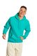 Hanes P170 - Ecosmart® 50/50 Pullover Hoodie - Athletic Teal
