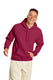 Hanes P170 - Ecosmart® 50/50 Pullover Hoodie - Cardinal