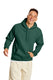 Hanes P170 - Ecosmart® 50/50 Pullover Hoodie - Deep Forest