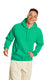 Hanes P170 - Ecosmart® 50/50 Pullover Hoodie - Kelly Green