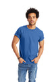 Palace Blue