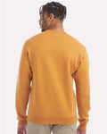 Champion S600 Gold Glint — on model back