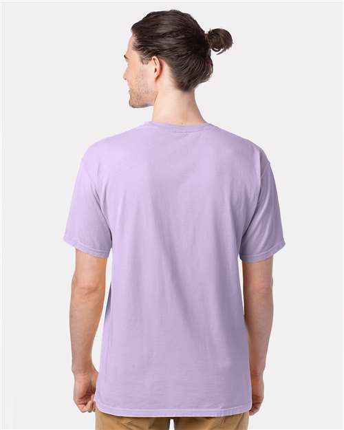ComfortWash by Hanes GDH100 Future Lavender — on model back