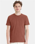 Hanes 4980 Canyon Rock Brown — on model front
