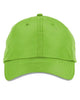 Acid Green