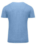 Threadfast Apparel 102A Royal Triblend — back