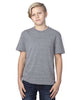 Gray Triblend