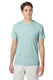 Hanes 42TB - Perfect-T Triblend Short Sleeve Tee - Ice Fall Heather