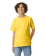 Gildan G200B - Youth Ultra Cotton® T-Shirt - Daisy