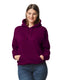 Gildan G125 - Unisex DryBlend®  50/50 Hoodie - Maroon