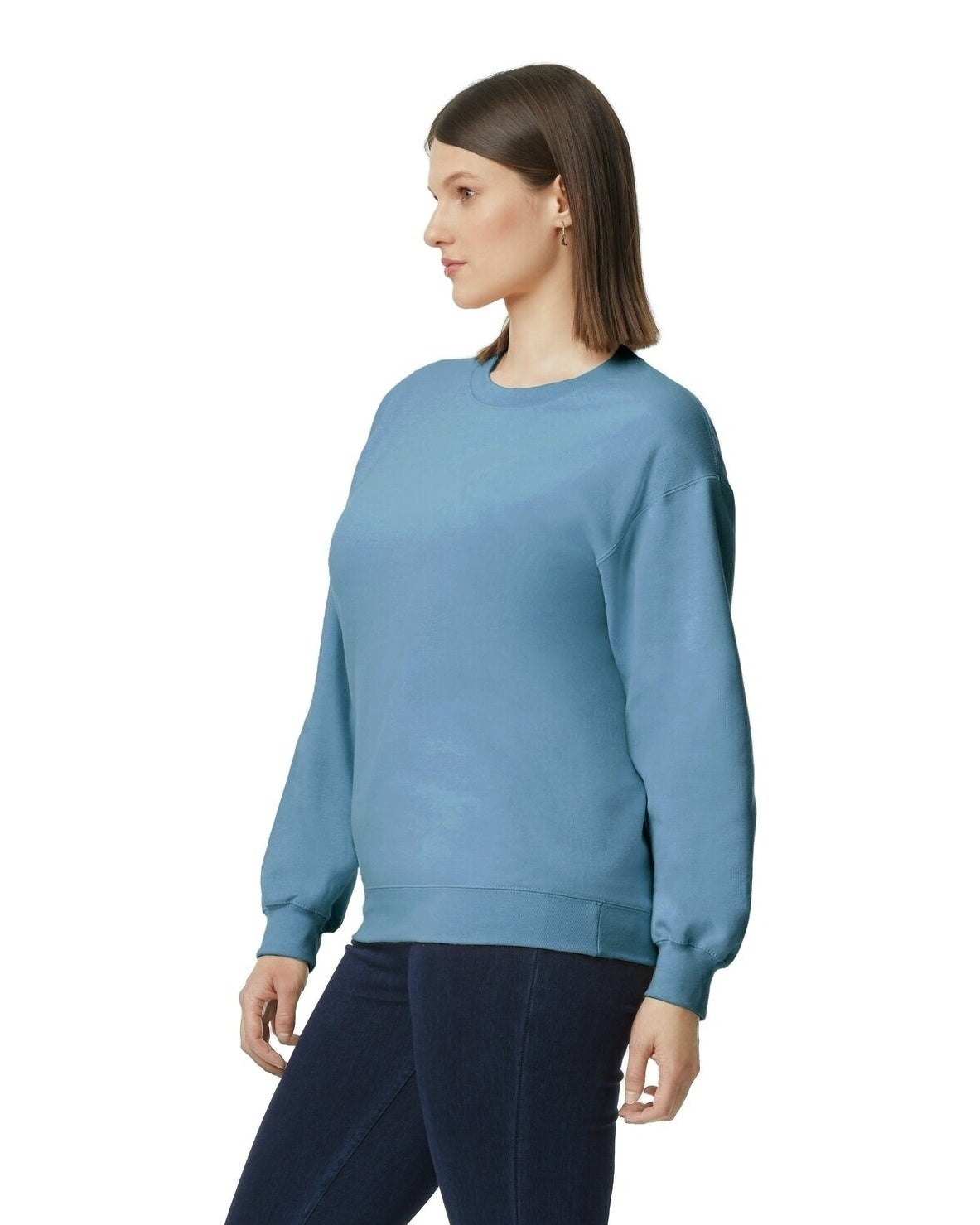 Softstyle Crewneck Sweatshirt - Stone Blue