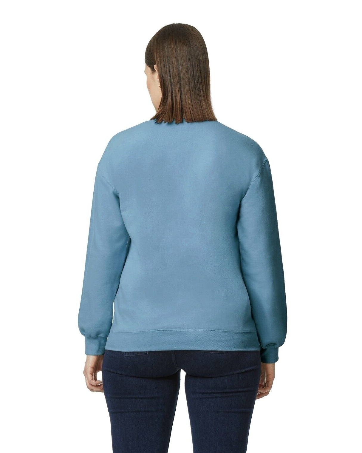 Softstyle Crewneck Sweatshirt - Stone Blue