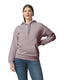 Gildan SF500 - Softstyle Hoodie - Paragon