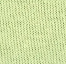 Women's Softstyle® Fitted T-Shirt - Pistachio