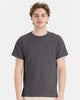 Smoke Gray