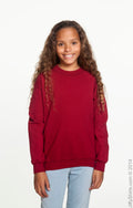 Youth Heavy Blend��� 50/50 Fleece Crew - Garnet