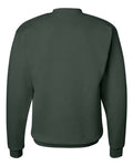 Hanes P160 Deep Forest — back