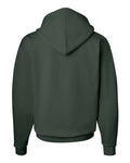 Hanes P170 Deep Forest — back