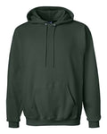 Hanes F170 Deep Forest — front