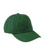 Adams LP104 - Optimum II - True Colors Cap - Forest Green