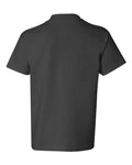 Hanes 5450 Smoke Grey — back