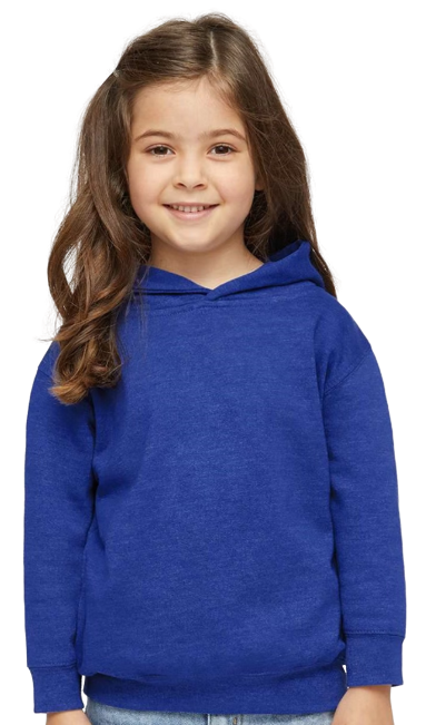 Toddler Pullover Fleece Hoodie - Vintage Royal