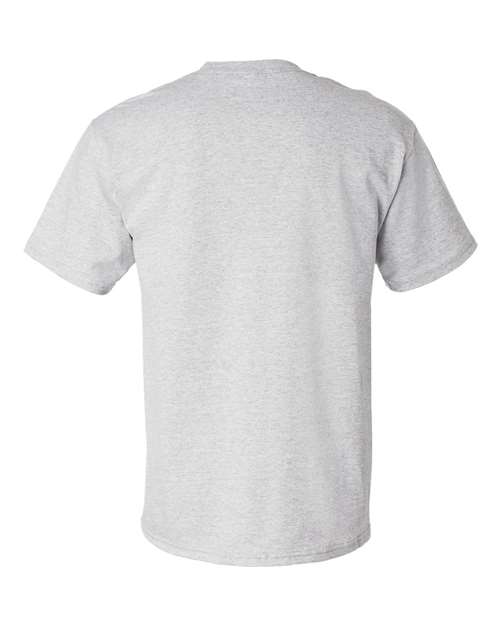 Hanes 5280 Ash — back