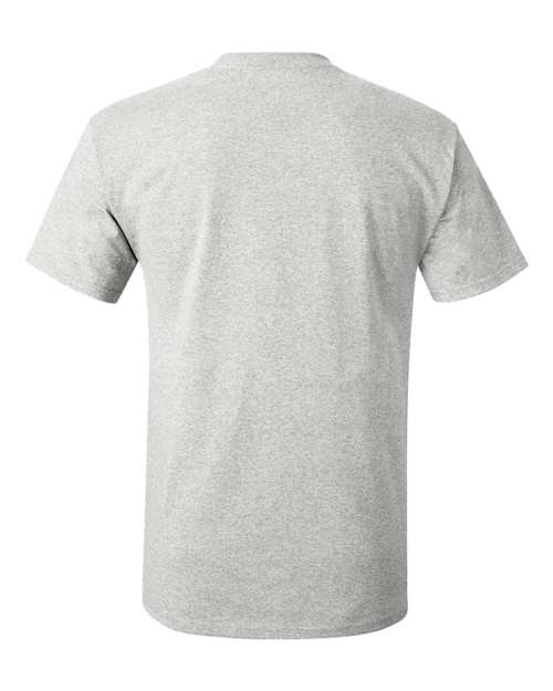 Hanes 5250 Ash — back