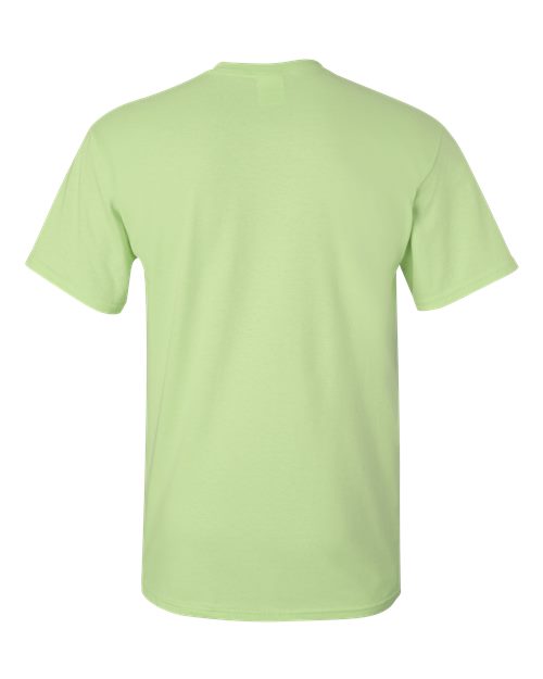 Gildan 2000 Pistachio — back