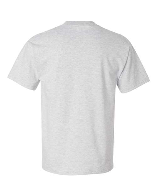 Hanes 5180 Ash — back