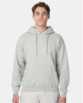 Hanes F170 Ash — on model front