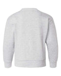 Hanes P360 Ash — back