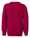 Hanes P360 Deep Red — back