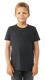 Bella + Canvas 3413Y - Youth Triblend Short-Sleeve T-Shirt - Solid Dark Gray Triblend