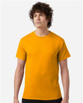 Champion T425 Gold — on model front