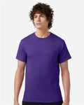 Champion T425 Purple — on model front