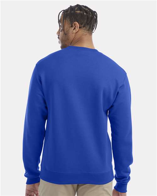 Champion S600 Royal Blue — on model back