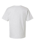 Champion T105 Silver Grey — back