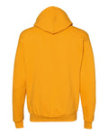 Champion S700 Gold — back