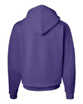 Hanes P170 Purple — back