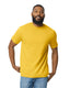 Gildan G650 - Softstyle Midweight Unisex T-Shirt - Daisy