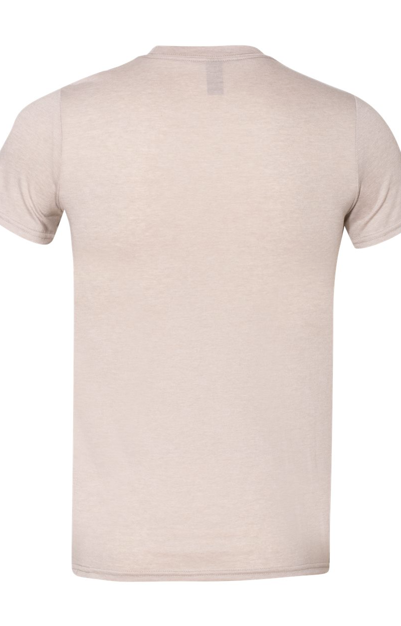 Lightweight Softstyle T-Shirt - Heather Slate