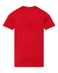 LAT 6101 Red — back